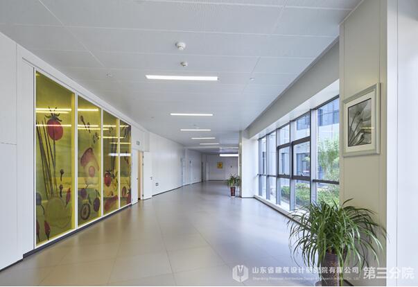 生命之花，為愛綻放——專訪棗莊婦幼設計“掌舵人”王崗