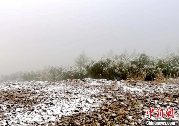 降雪現(xiàn)場。　王妮娜 攝