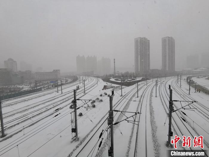11月19日，黑龍江省迎來今年入冬以來最大降雪?！〗x 攝