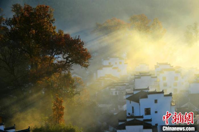在江西婺源縣大鄣山鄉(xiāng)程村，粉墻黛瓦的徽派民居在晨霧中若隱若現(xiàn)，與古紅楓林交相輝映，美不勝收。(資料圖) 程新德 攝