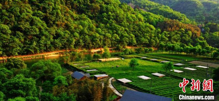 圖為航拍隴南市風(fēng)光，山體“綠意”四溢。(資料圖) 張平良 攝