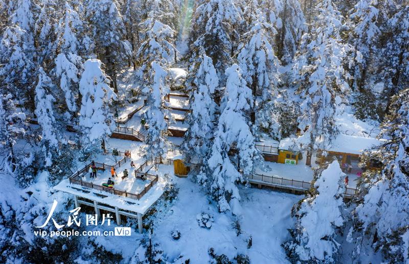 2020年12月23日拍攝的瓦屋山雪景。