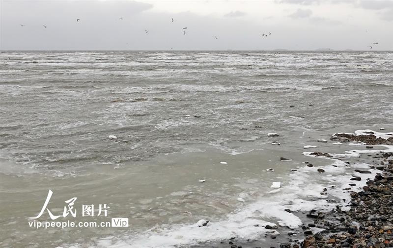 12月29日，遼寧省大連夏家河海濱浴場近海區(qū)出現(xiàn)結(jié)冰。