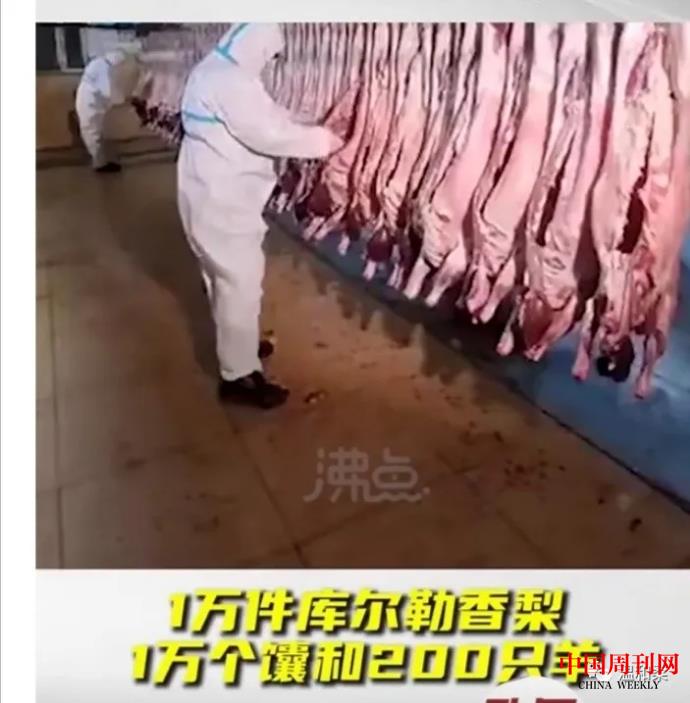 微信圖片_20210118144528.jpg