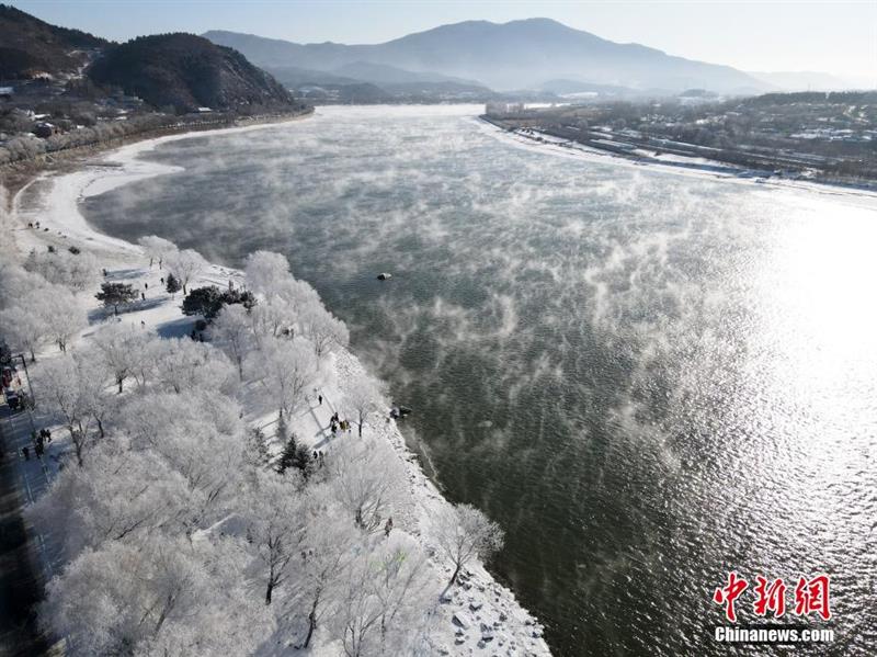 航拍松花江岸霧凇：玉樹瓊枝猶若仙境