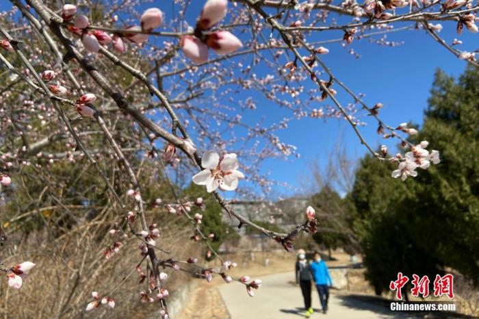 點(diǎn)擊進(jìn)入下一頁(yè)