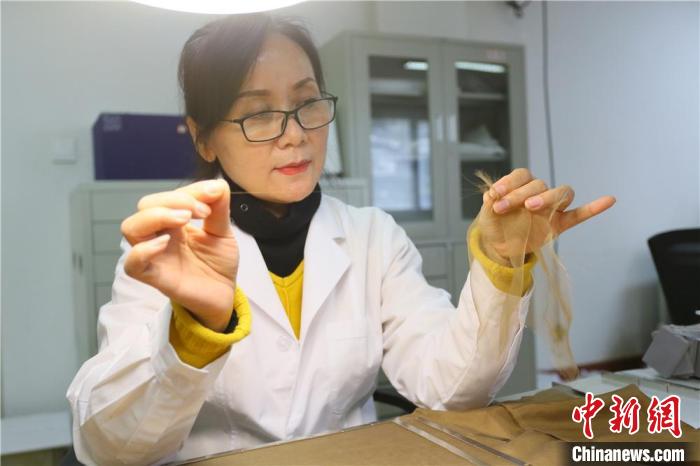 據(jù)趙喜梅介紹，修復文物紡織品所用的縐絲紗比頭發(fā)絲還細。　高展 攝