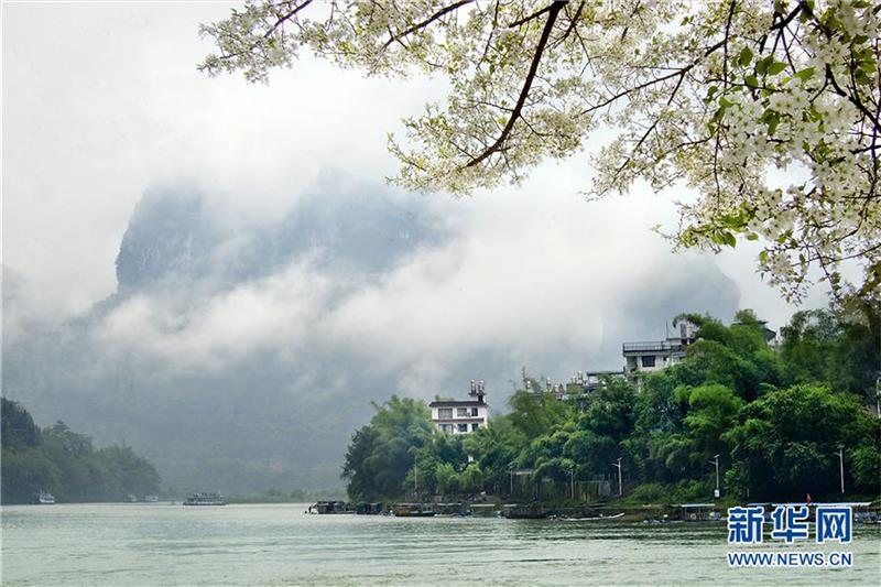 尋芳桂林陽(yáng)朔 無(wú)邊春景一時(shí)新 尋芳桂林陽(yáng)朔 無(wú)邊春景一時(shí)新