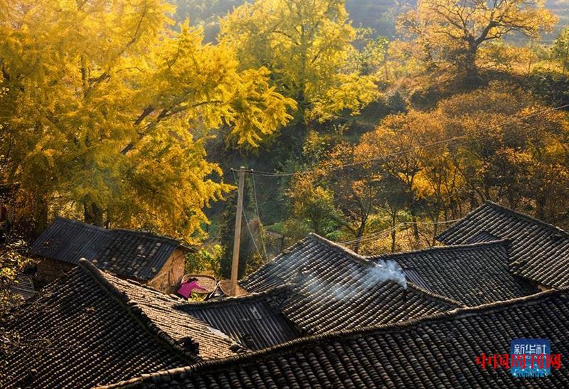 微信圖片_20211125092411.jpg