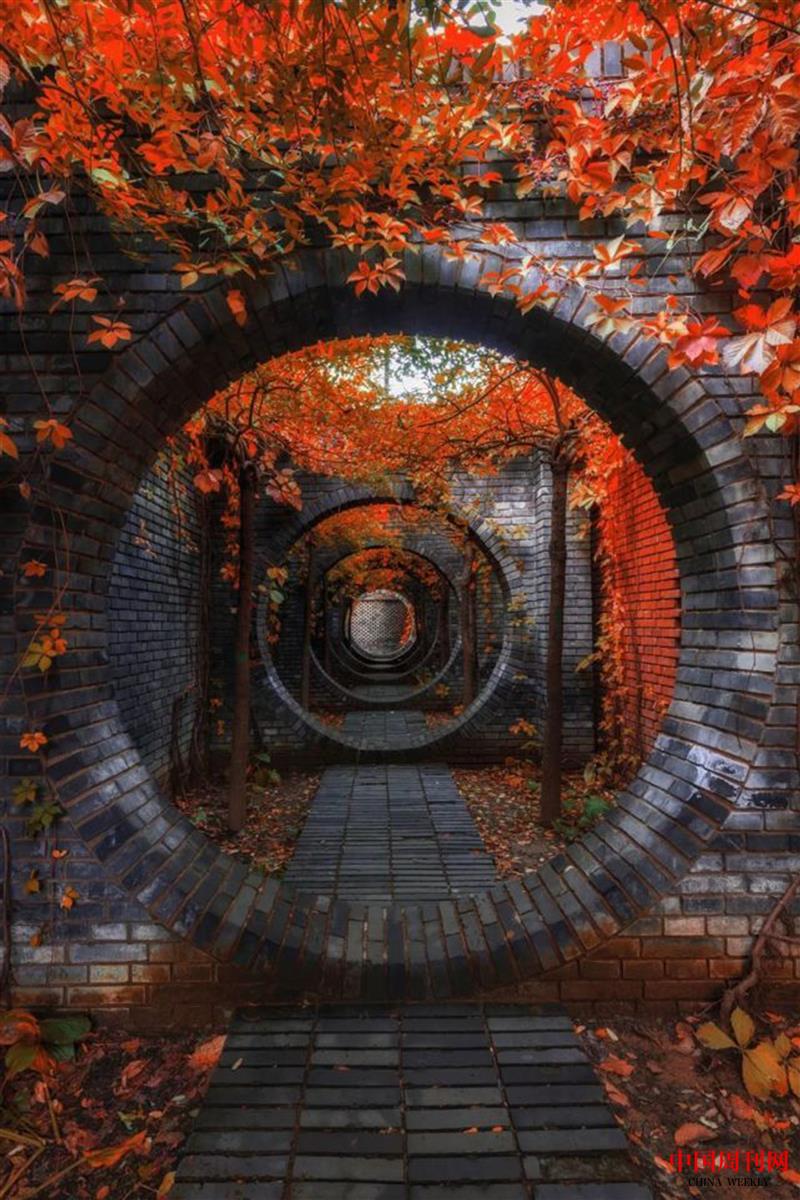 北京紅磚美術(shù)館秋色.jpg 北京紅磚美術(shù)館秋色.jpg