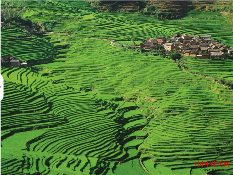 微信截圖_20220113144201.png