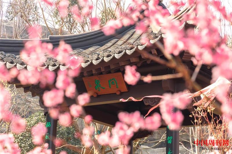 微信圖片_20220411115611.jpg