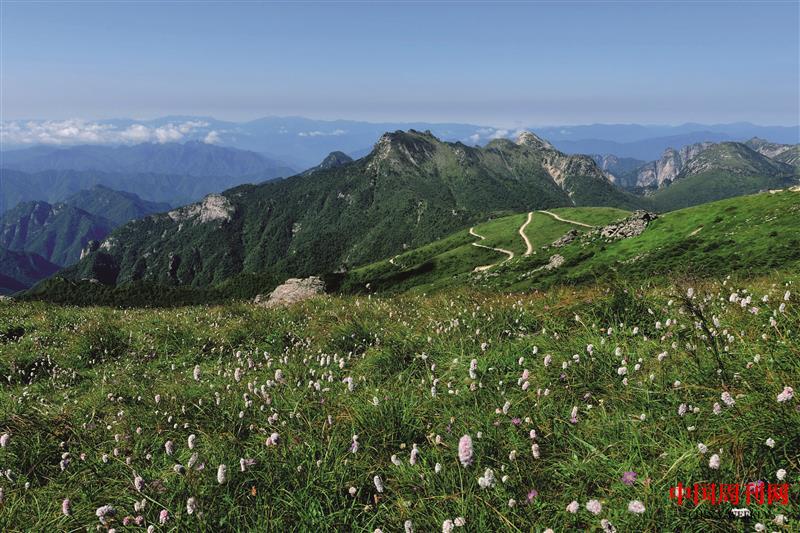 攝圖網(wǎng)_500187894_秦嶺山風(fēng)光（企業(yè)商用）.JPG