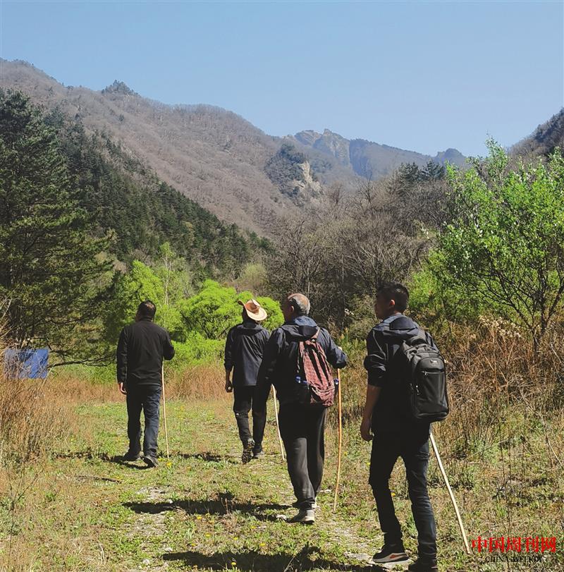 行走在牛背梁保護(hù)區(qū)的生態(tài)衛(wèi)士（華榮艷攝影).JPG