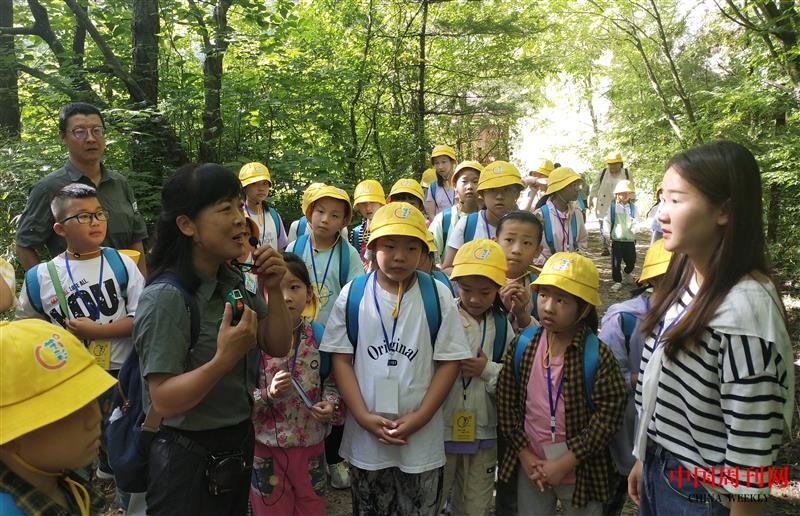北溝自然體驗基地開展自然讓教育活動馬宇拍攝.jpg