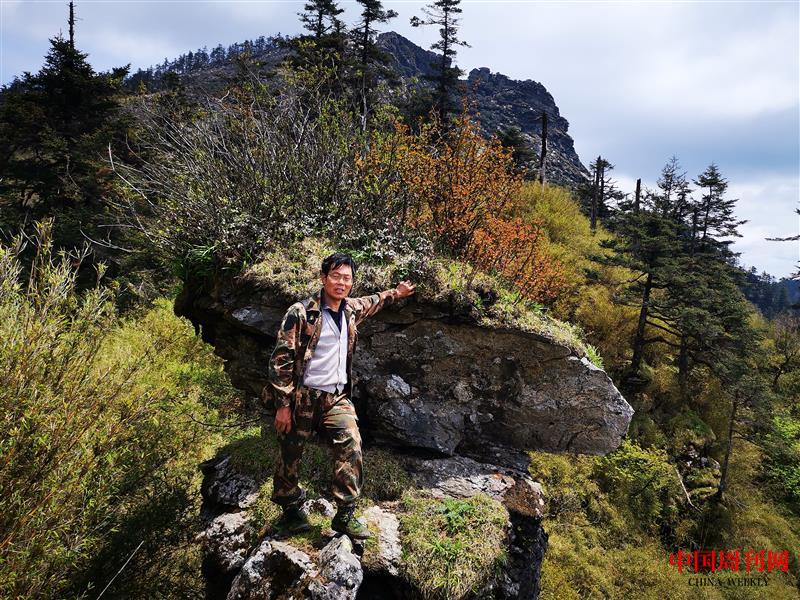 在海拔2800米的高山上(劉坤攝).jpg 在海拔2800米的高山上(劉坤攝).jpg