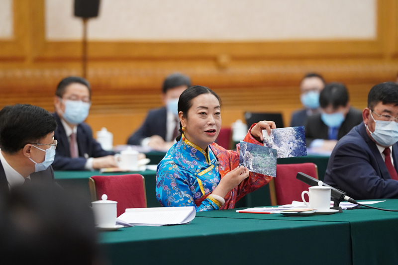 2021年3月7日，習近平總書記在參加十三屆全國人大四次會議青海代表團審議時，全國人大代表孔慶菊在會上展示了兩張照片，上面分別是祁連山地區(qū)多年不見蹤跡的雪豹和荒漠貓。