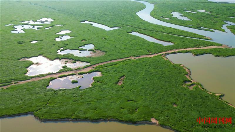 鄱陽(yáng)湖濕地鳥瞰.jpg