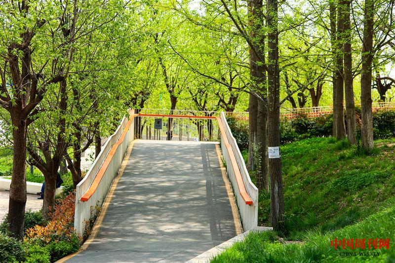 雁南公園無障礙步行橋入口.jpg 雁南公園無障礙步行橋入口.jpg
