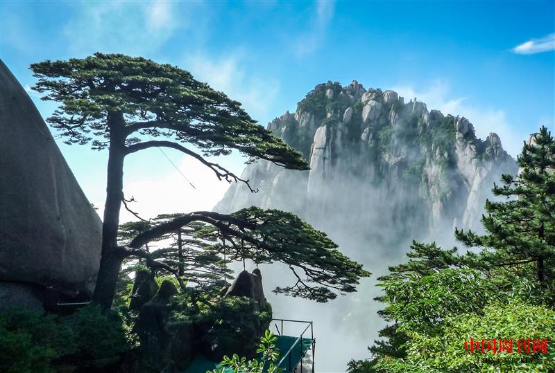 攝圖網(wǎng)_500691100_黃山迎客松(企業(yè)商用).jpg 攝圖網(wǎng)_500691100_黃山迎客松(企業(yè)商用).jpg
